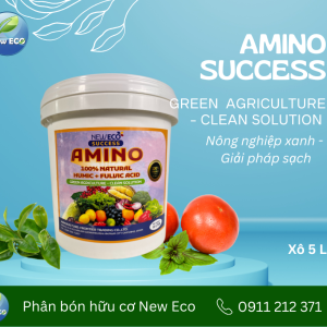 Phân bón Amino success