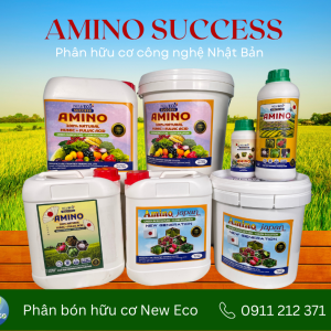 Phân bón Amino success
