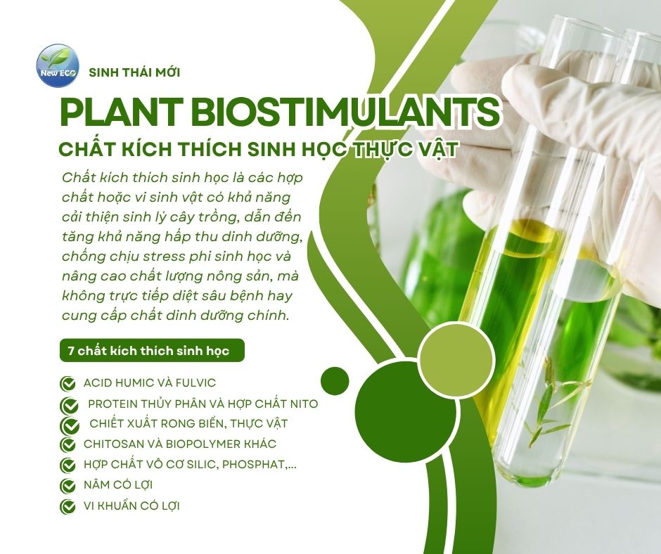 7 chất kích thích sinh học thực vật