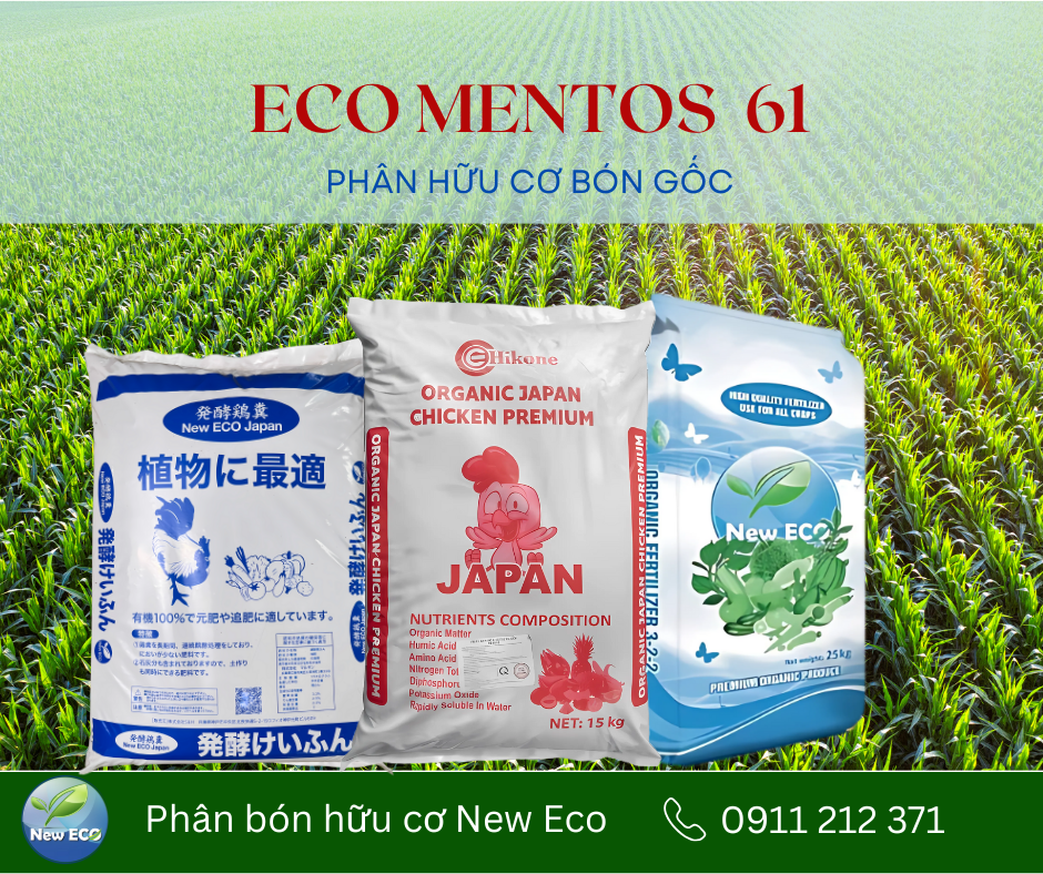 Bộ sản phẩm ECO MENTOS 61