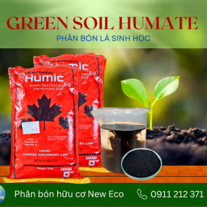 Phân bón Green Soil Humate
