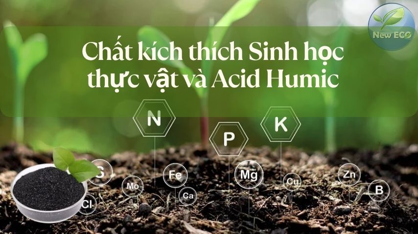 Chất kích thích sinh học thực vật