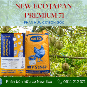 NEW ECO JAPAN PREMIUM 71