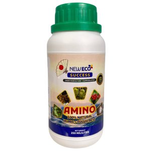 Amino success
