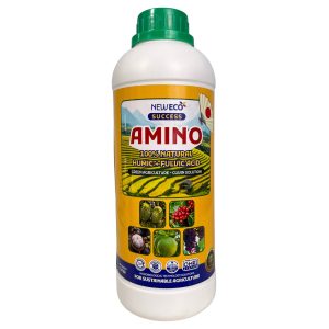 Amino success