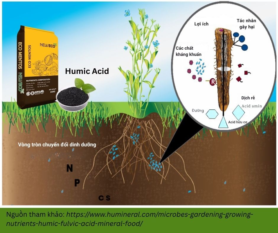 Lợi ích bón phân hữu cơ