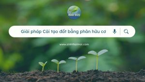 Cải tạo đất bằng phân hữu cơ