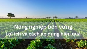 Nông nghiệp bền vững