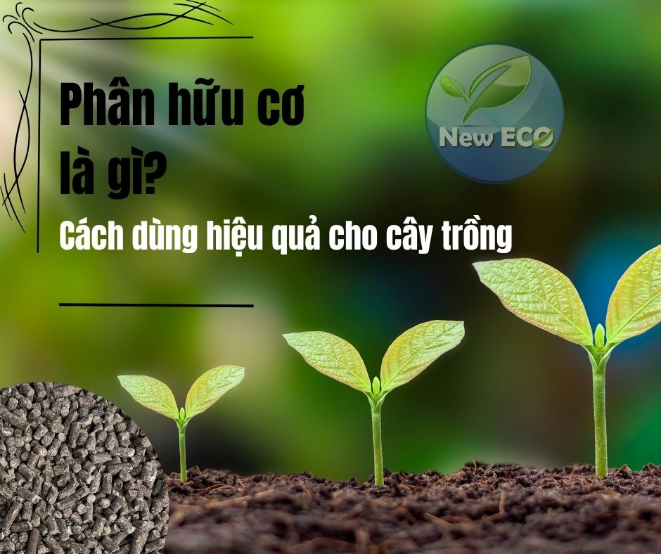 Phân bón hữu cơ là gì
