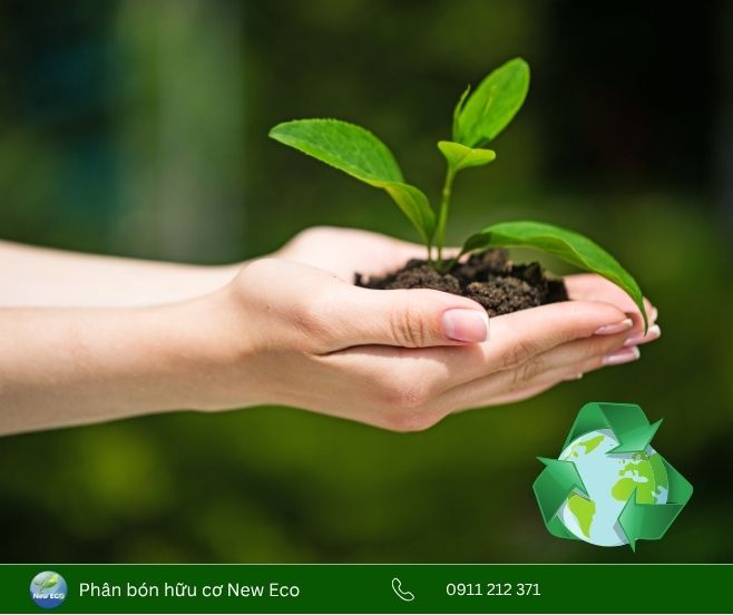 Nông nghiệp bền vững