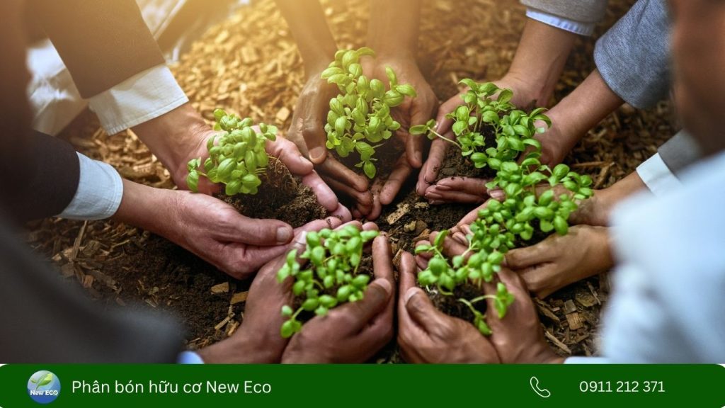 Nông nghiệp bền vững cho tương lai