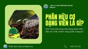Phân hữu cơ dạng viên