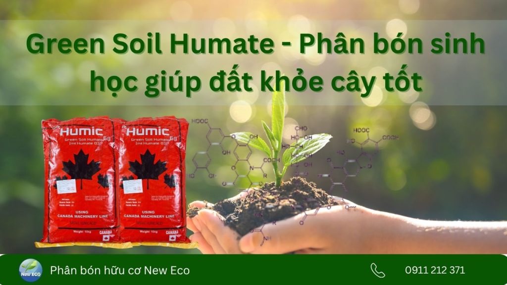 green soil humate - sản phẩm cải tạo đất, phục hồi cây hiệu quả