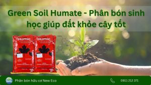 green soil humate - sản phẩm cải tạo đất, phục hồi cây hiệu quả