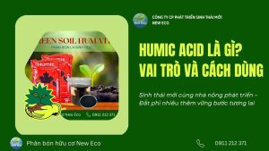 Humic Acid là một chất kích thích sinh học