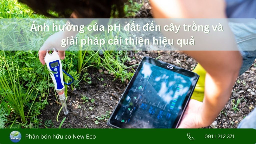 Ảnh hưởng của pH đất đến khả năng hấp thu dinh dưỡng của cây trồng