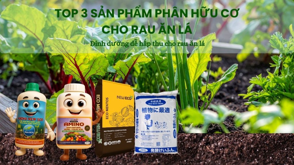 Phân bón New ECO cho rau ăn lá