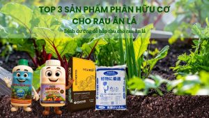 Phân bón New ECO cho rau ăn lá