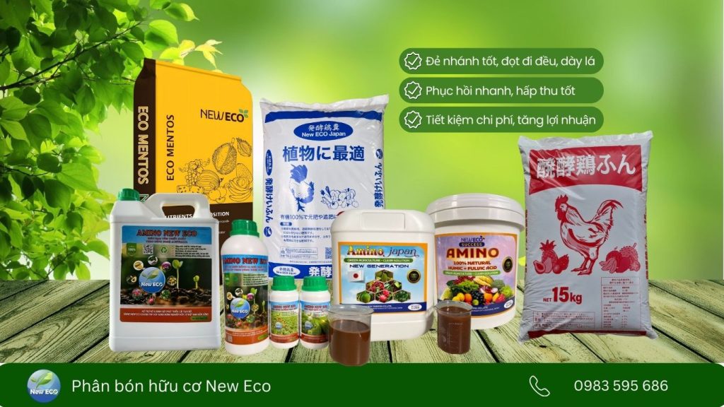 Phân hữu cơ cho rau ăn lá New ECO