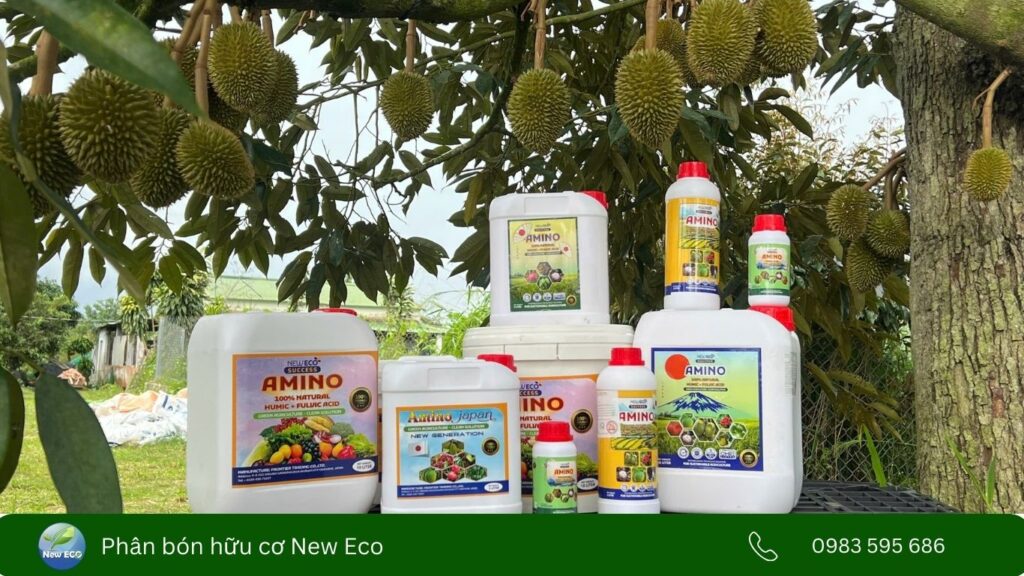 Vai trò của đạm ở giai đoạn nuôi trái