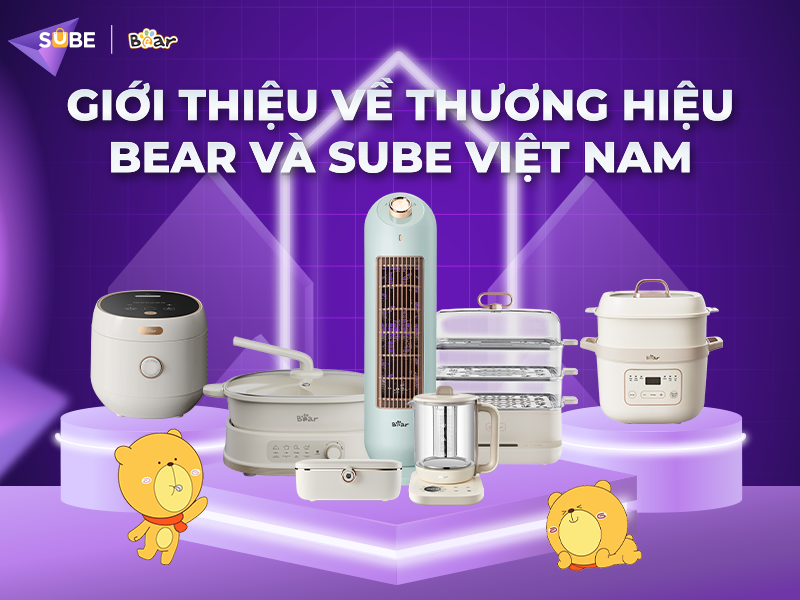 Giới thiệu về Bear và thương hiệu Bear