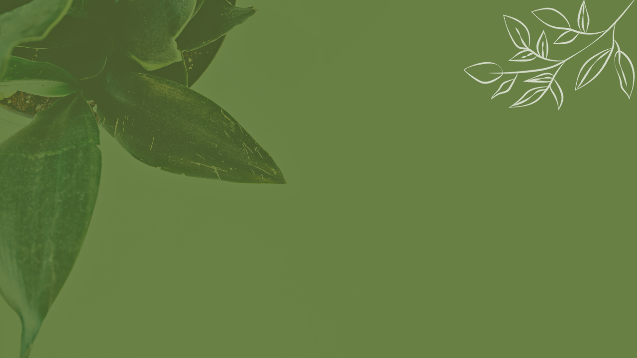 Lorem ipsum