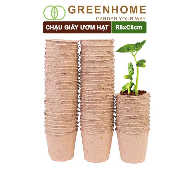 Chậu Trồng Cây, D8xR8cm, Bằng Giấy Tự Phân Huỷ, Ươm Hạt Giống, Cây Con, Tiện Lợi, Thân Thiện Môi Trường