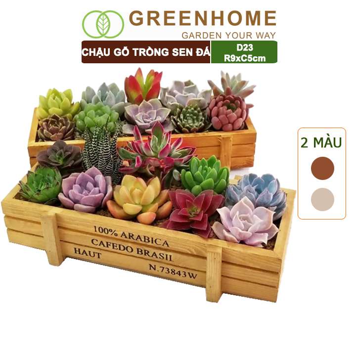 Chậu Gỗ Trồng Sen Đá, Cafedo, D23xr9xc5cm, Trang Trí Cây Cảnh Để Bàn, Xương Rồng, Nhiều Màu Để Lựa Chọn