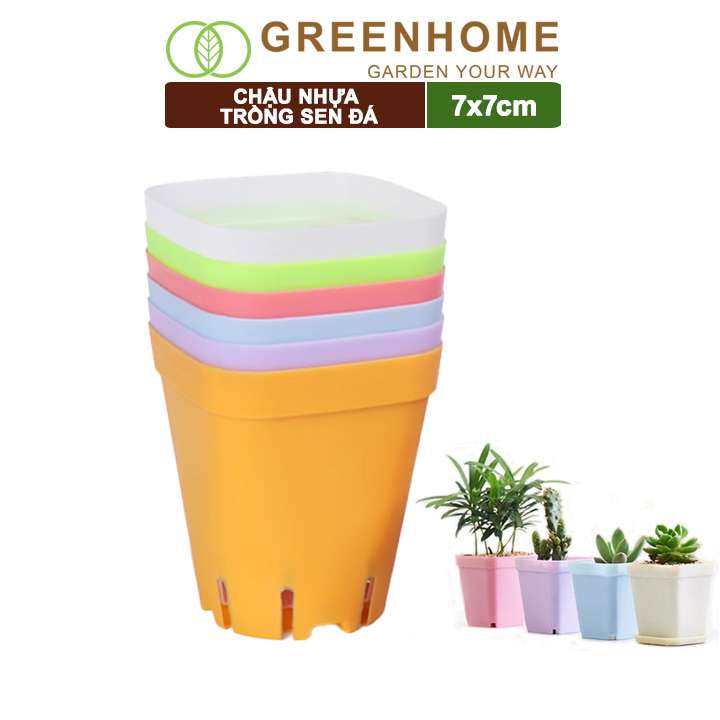 Chậu Nhựa Trồng Sen Đá, 7x7cm, Bền, Đẹp, Màu Sắc Hiện Đại, Ngẫu Nhiên, Không Dĩa, Trồng Tiểu Cảnh