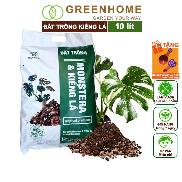Đất Trồng Cây Kiểng Lá, Bao 10 Lít, Giá Thể Trộn Sẵn, Tiện Lợi Cho Monstera, Rễ Khoẻ, Thân To, Lá Dày