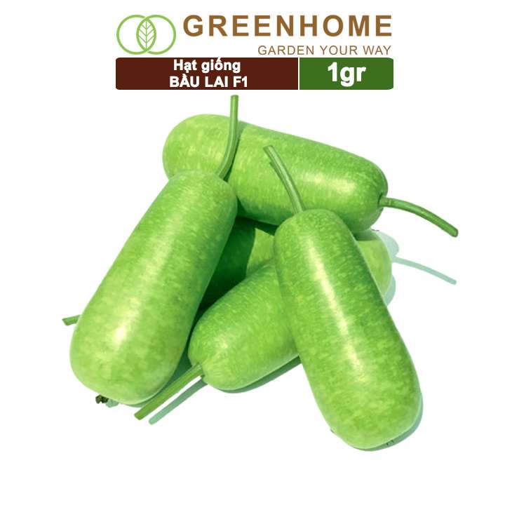 Hạt Giống Bầu Lai, Gói 1gr, Dễ Trồng Quanh Năm, Nảy Mầm Cao, Thu Hoạch Nhanh, Năng Suất Cao T09