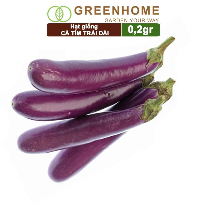 Hạt Giống Cà Tím Trái Dài, Gói 0.2gr, Dễ Trồng Quanh Năm, Nảy Mầm Cao, Thu Hoạch Nhanh, Năng Suất Cao T13