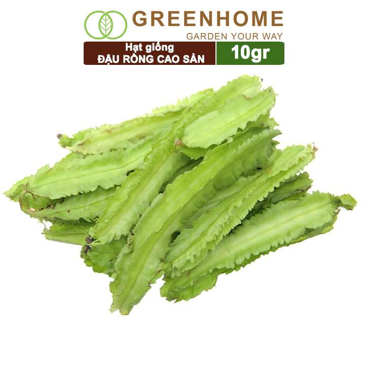Hạt Giống Đậu Rồng, Gói 10gr, Dễ Trồng Quanh Năm, Nảy Mầm Cao, Thu Hoạch Nhanh, Năng Suất Cao T08
