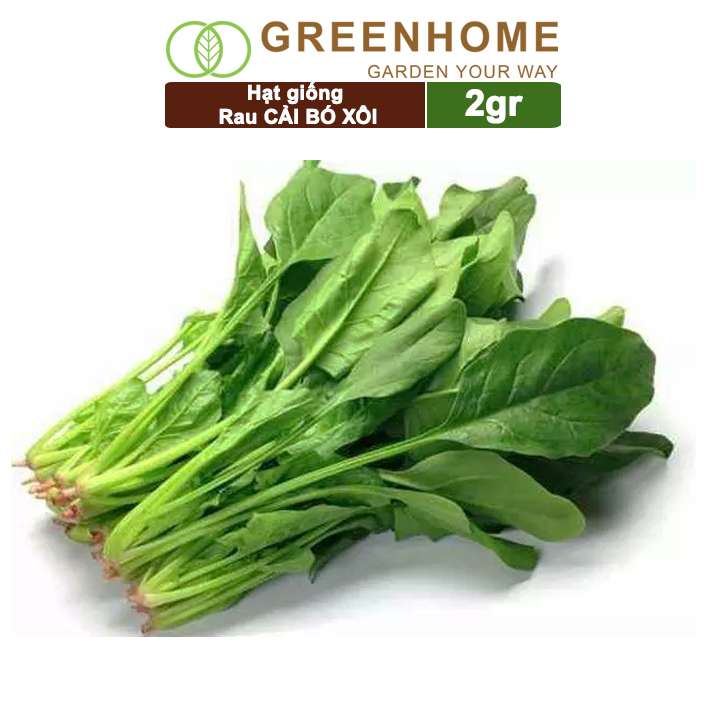 Hạt Giống Rau Cải Bó Xôi, Gói 2g, Dễ Trồng Quanh Năm, Nảy Mầm Cao, Thu Hoạch Nhanh, Năng Suất Cao R07