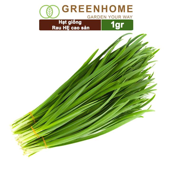 Hạt Giống Hẹ, Gói 1gr, Dễ Trồng Quanh Năm, Nảy Mầm Cao, Thu Hoạch Nhanh, Năng Suất Cao G04