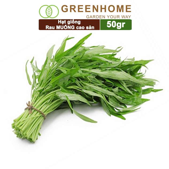 Hạt Giống Rau Muống, Gói 20g, Dễ Trồng Quanh Năm, Nảy Mầm Cao, Thu Hoạch Nhanh, Năng Suất Cao R09