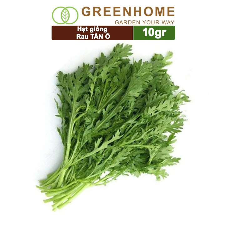 Hạt Giống Rau Tần Ô , Gói 10g, Cải Cúc Dễ Trồng, Thu Hoạch Nhanh R02