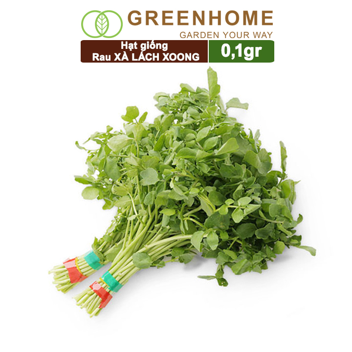 Hạt Giống Rau Xà Lách Xoong, Gói 0.1g, Dễ Trồng Quanh Năm, Độ Nảy Mầm Cao, Thu Hoạch Nhanh, Năng Suất Cao R01
