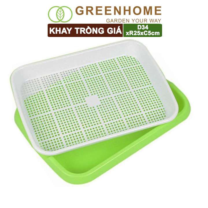 Bộ khay trồng giá, D34xR25xC5cm, nhiều màu sắc, nhựa nguyên sinh, an toàn, dễ trồng tại nhà |Greenhome