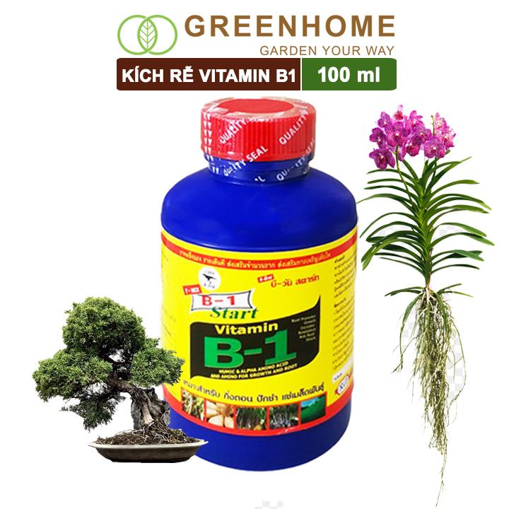 Phân Bón Kích Rễ, B1, Chai 100ml, Tạo Mầm, Rễ Khoẻ, Sai Hoa, Phục Hồi Rễ Yếu, Lá Dày, Xanh Hơn