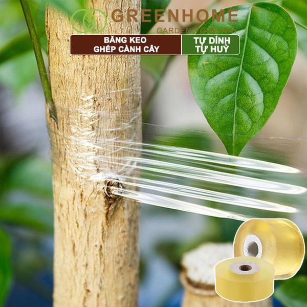 Băng keo ghép cành cây, tự dính, tự huỷ, bảo vệ mối ghép nhanh liền, nhiều kích thước |Greenhome