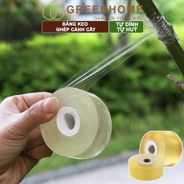 Băng keo ghép cành cây, tự dính, tự huỷ, bảo vệ mối ghép nhanh liền, nhiều kích thước |Greenhome