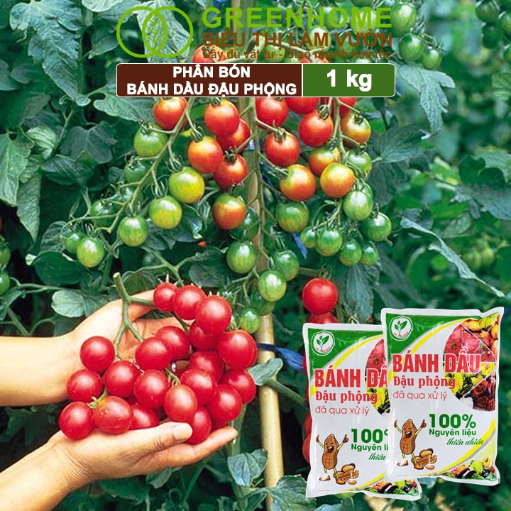 Bánh Dầu Đậu Phộng, Bao 1kg, Phân Bón Hữu Cơ Hàm Lượng Đạm Cao, Chuyên Hoa, Rau, Củ, Quả, Kiểng