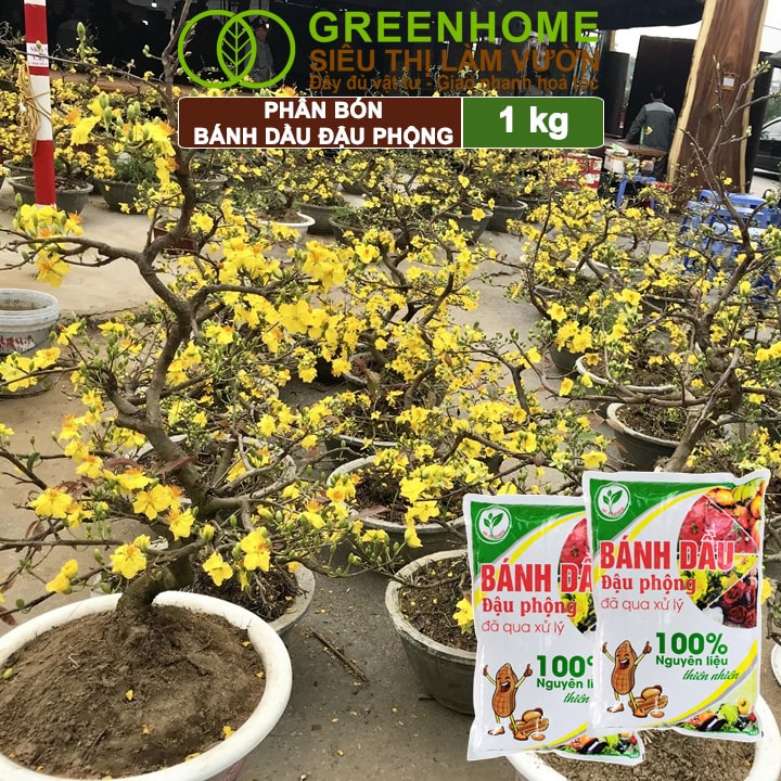Bánh Dầu Đậu Phộng, Bao 1kg, Phân Bón Hữu Cơ Hàm Lượng Đạm Cao, Chuyên Hoa, Rau, Củ, Quả, Kiểng