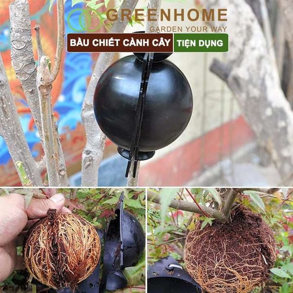 Bầu chiết cành cây, tăng khả năng ra rễ, chống úng cành chiết, tái sử dụng nhiều lần, nhiều kích thước
