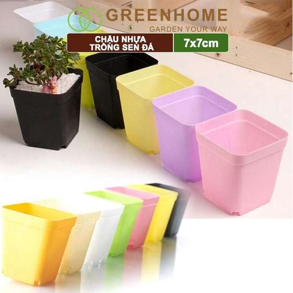 Chậu nhựa trồng sen đá, 7x7cm, bền, đẹp, màu sắc hiện đại, màu ngẫu nhiên, không dĩa Greenhome