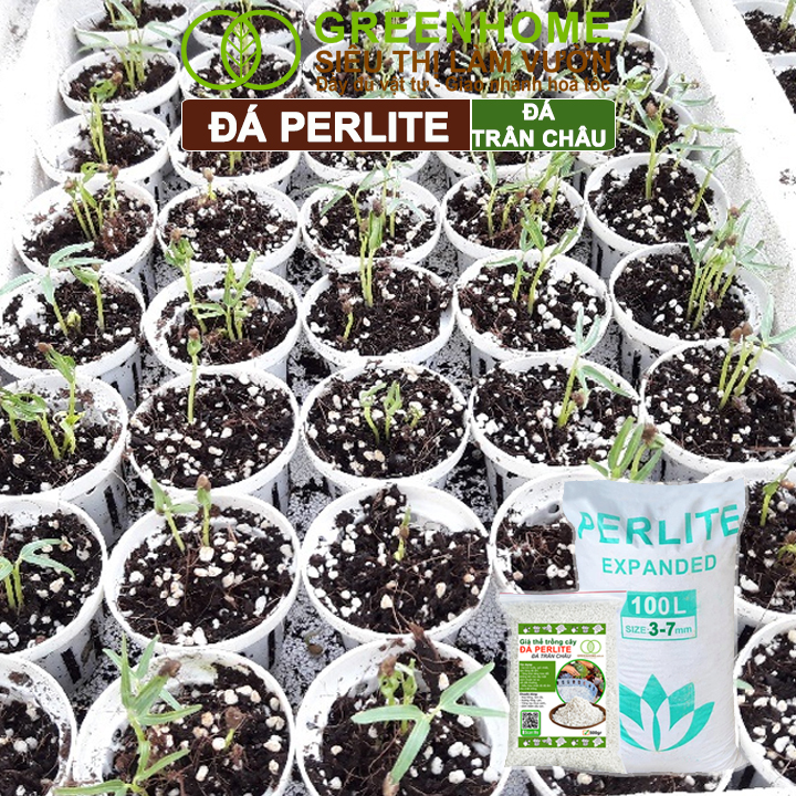 Đá Perlite, Giàu Khoáng Chất, Tăng Độ Tơi Xốp, Giá Thể Trân Châu Trồng Hồng, Thuỷ Canh, Kiểng Lá,
