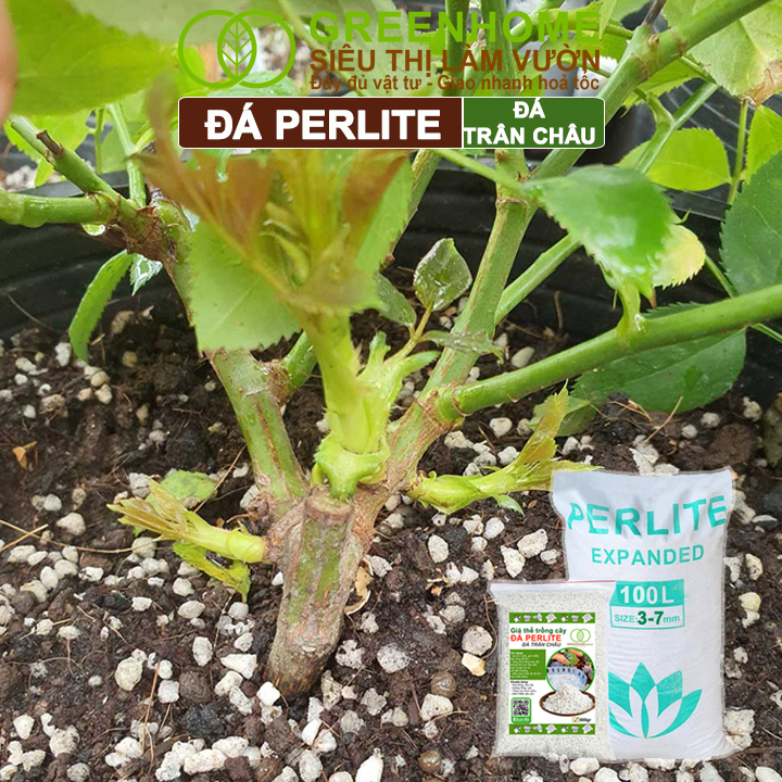 Đá Perlite, Giàu Khoáng Chất, Tăng Độ Tơi Xốp, Giá Thể Trân Châu Trồng Hồng, Thuỷ Canh, Kiểng Lá,