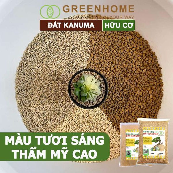 Đất trồng Kanuma, bao 500gr, dùng rải mặt, giá thể trồng sen đá, bonsai, đỗ quyên, nhiều kích thước
