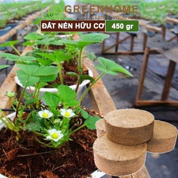 Đất nén hữu cơ